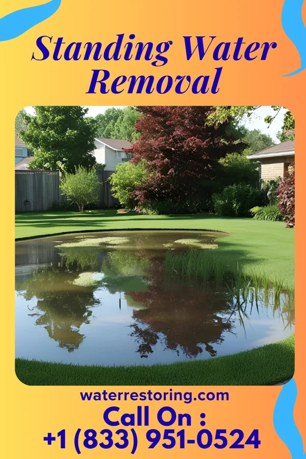 Standing Water Removal in Poughkeepsie, NY